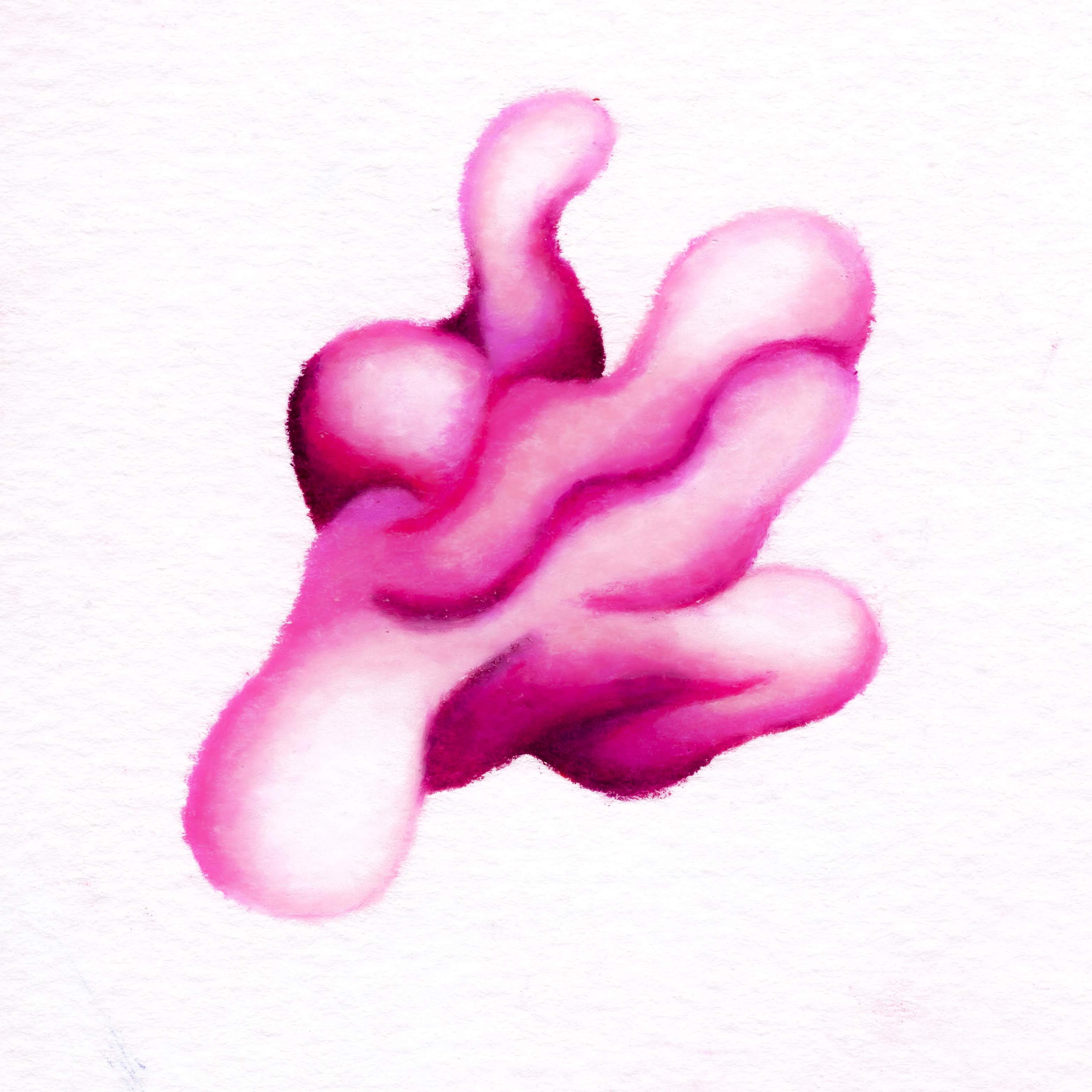 A hot pink coloured blob, appearing as if an abstracted octopus swimming in the ocean. 208/365 of the 000/365 collection by charming cavatica