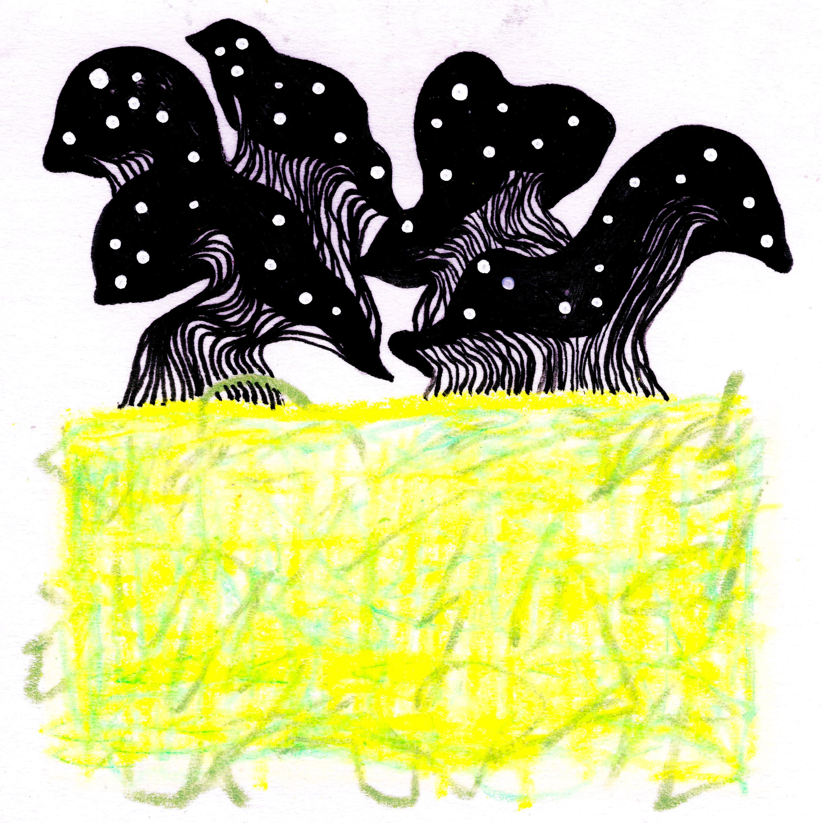 Black and white mushroom-like masses atop a scribbled line block of line green and moss green, 222/365 of the 000/365 collection by charming cavatica