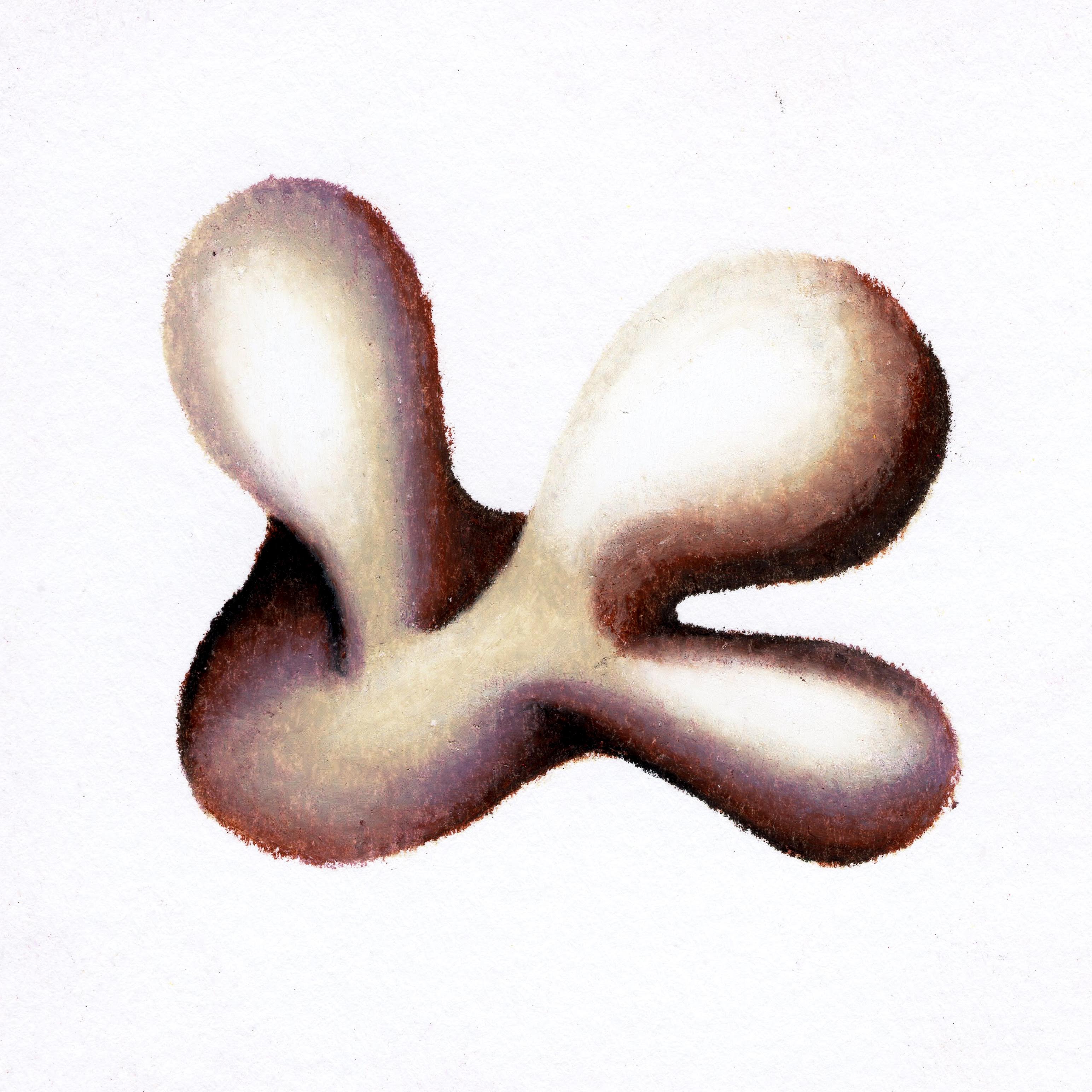 A stone-coloured neautral brown blob, appearing as if trying to give a hug. 230/365 of the 000/365 collection by charming cavatica