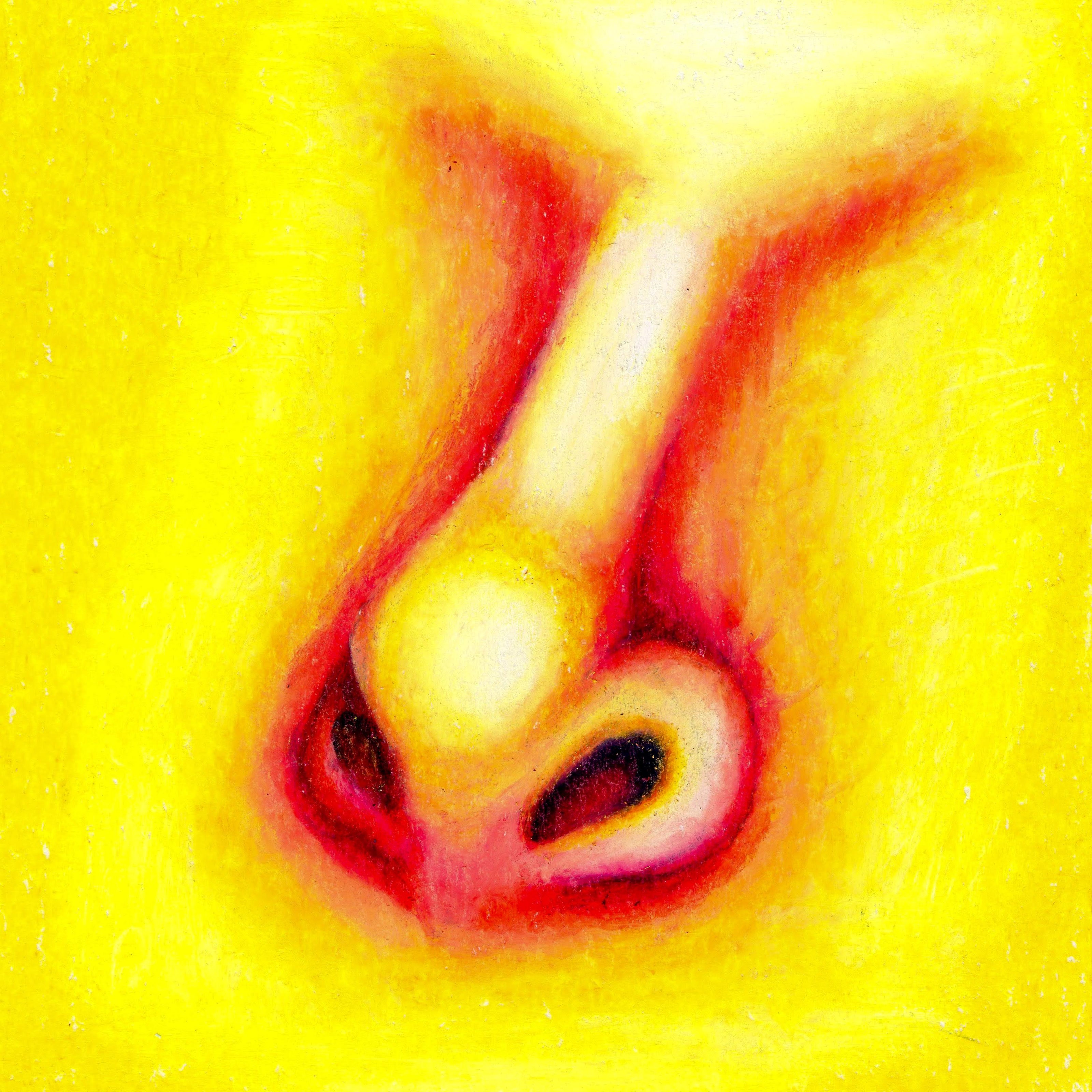 A bright yellow and orange nose. 231/365 of the 000/365 collection by charming cavatica