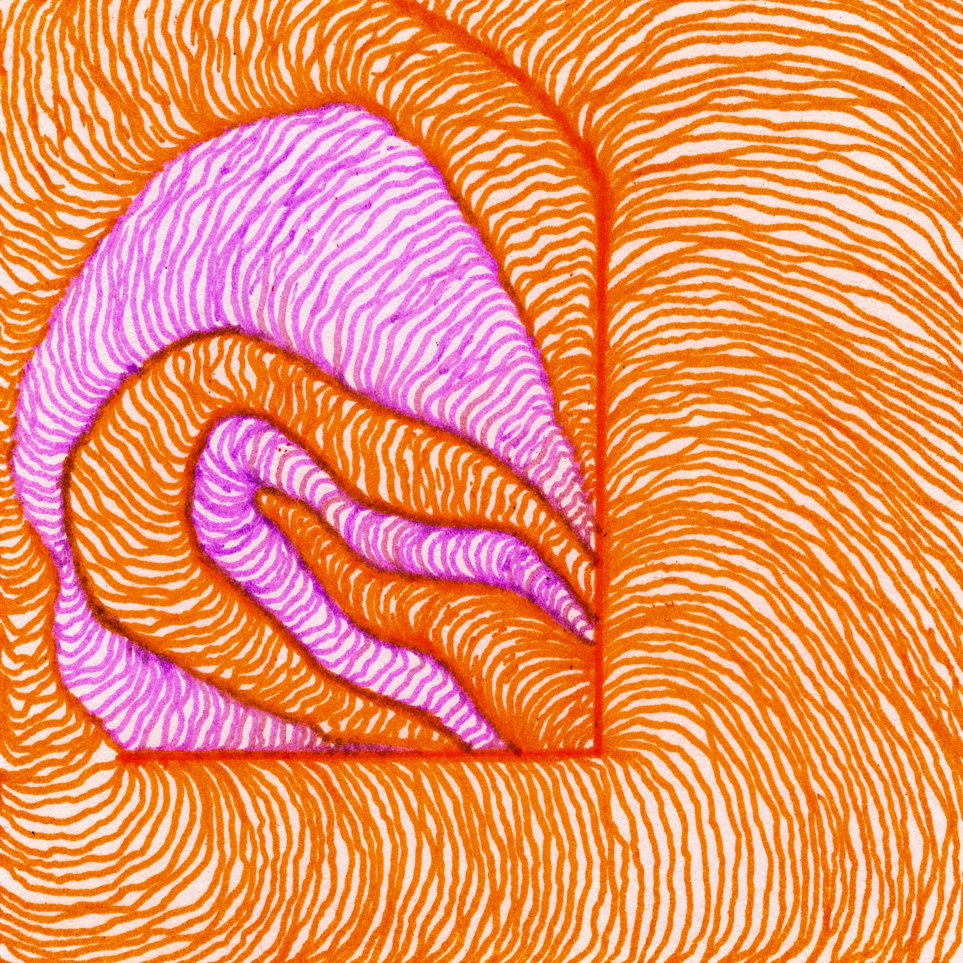 Orange wiggling lines layering atop one another, surrounding two semi-circle wobbling worm-like shapes. An inverse L-shaped corner separates the ventral area, defining an edge in which the pink worm-like semicircles connect to. 232/365 of the 000/365 collection by charming cavatica