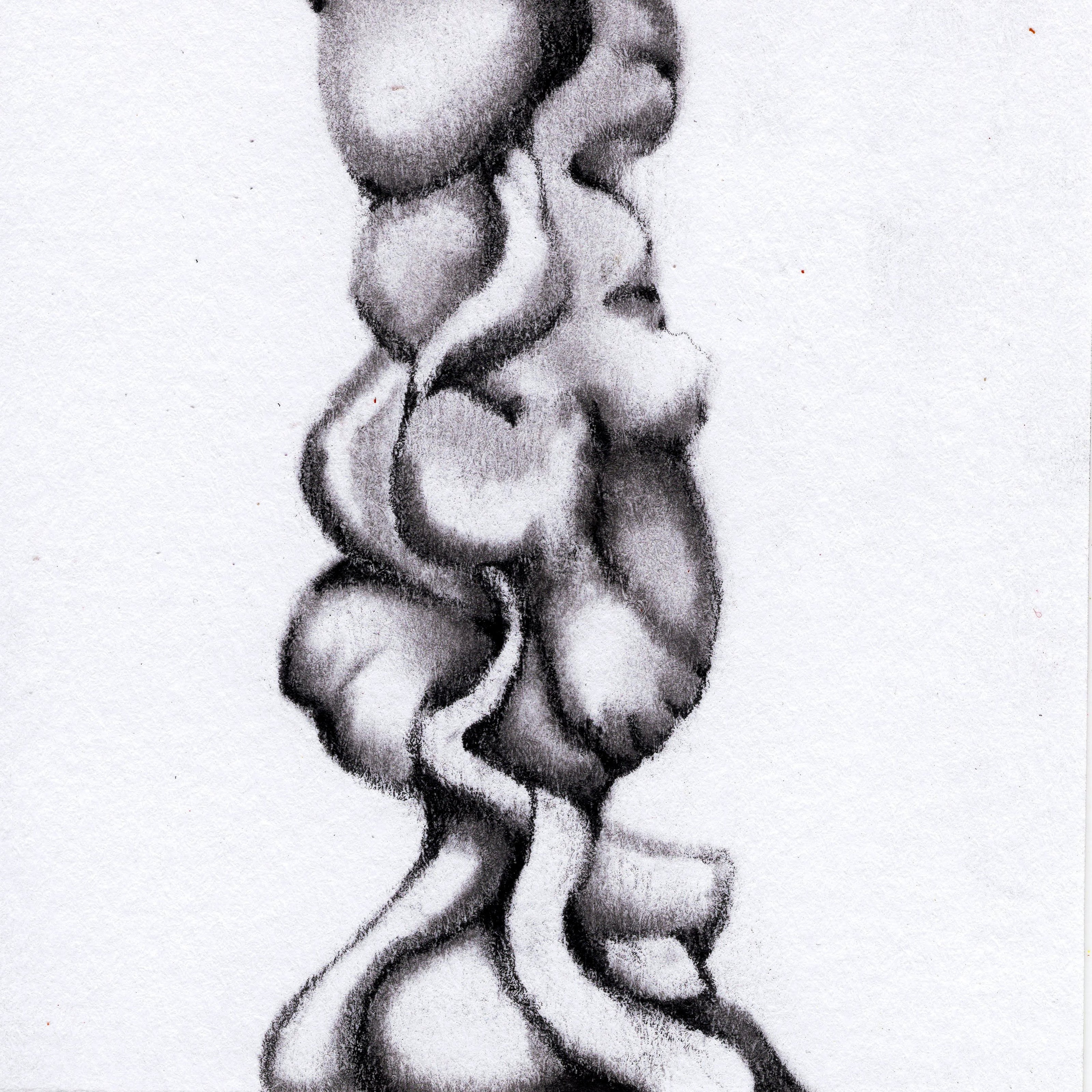 A vertical column of blob-like  masses on a white background. 234/365 of the 000/365 collection by charming cavatica
