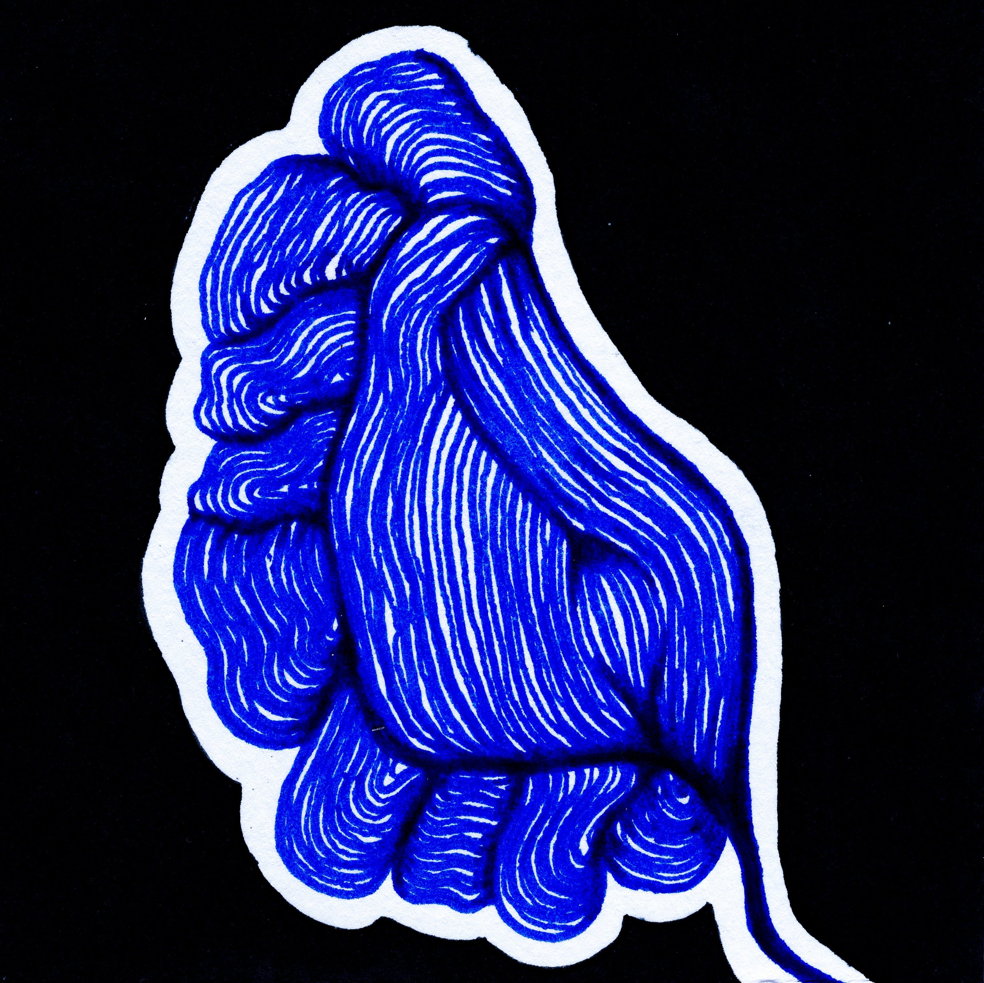 interconnecting fine lines in the shape of a bulbous blue leaf. Surrounded by a thick white lone on a solid black background. 242/365 of the 000/365 collection by charming cavatica