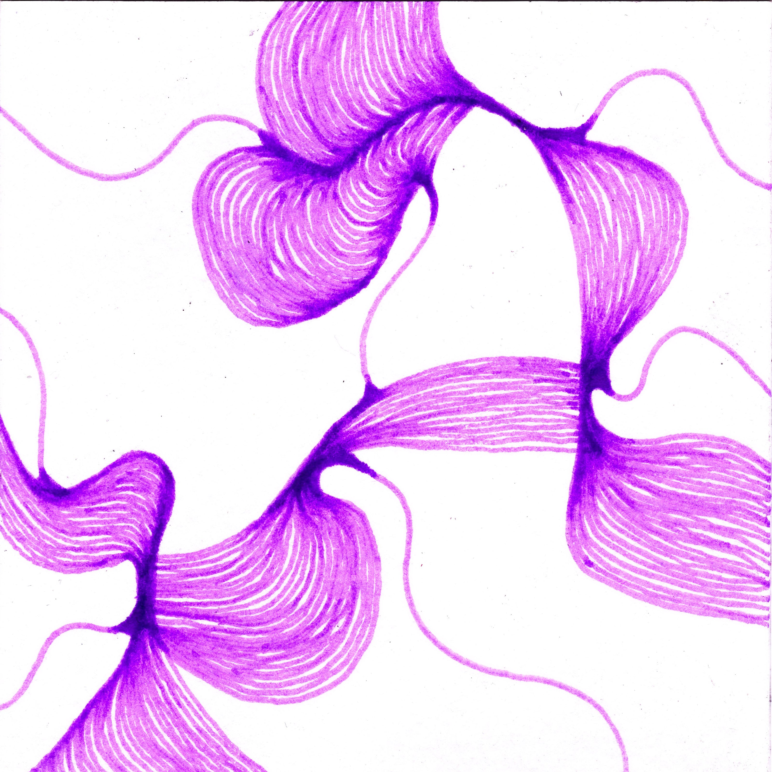 Wobbling lines interconnecting to one another, as if tendons or veins in dark purple. 244/365 of the 000/365 collection by charming cavatica