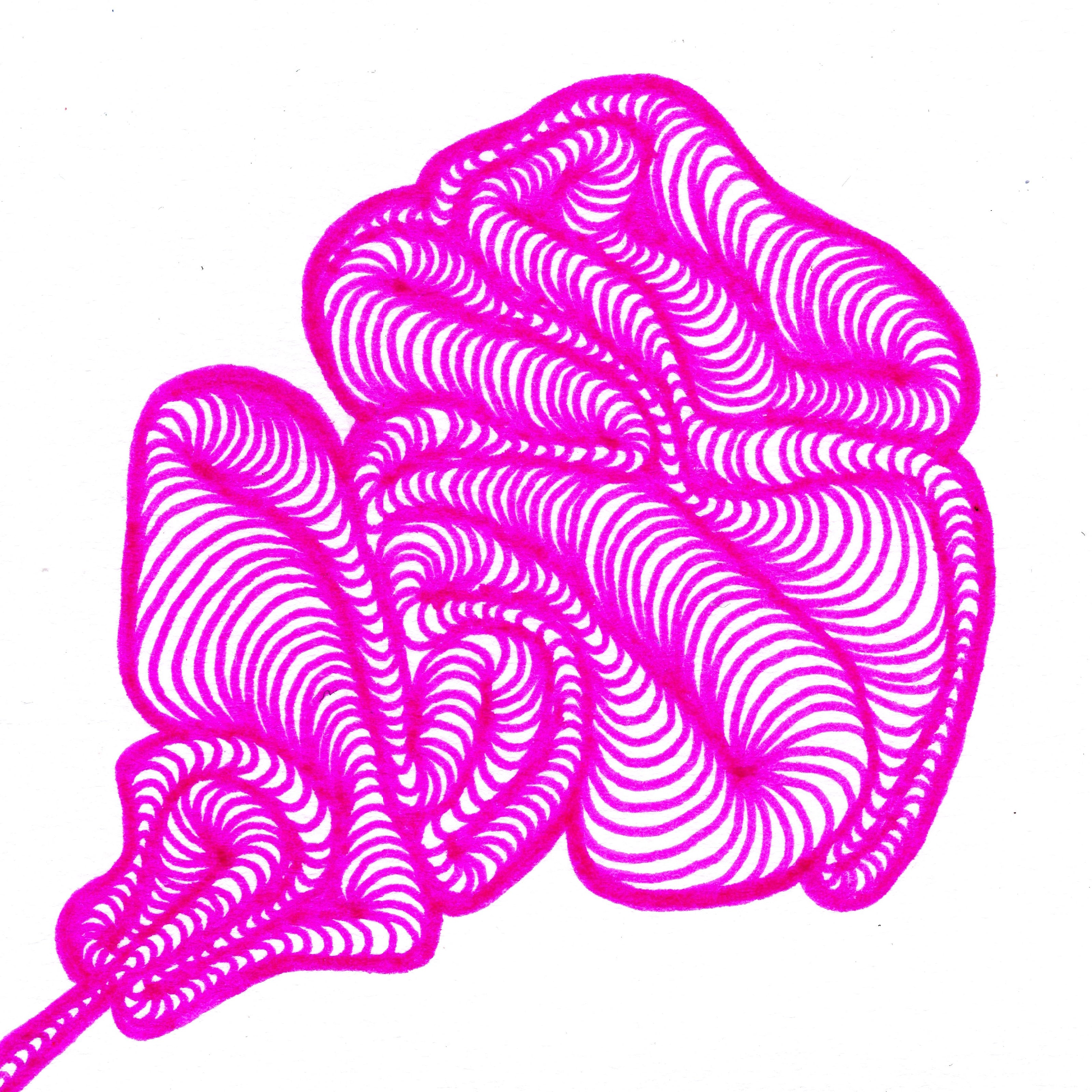 Wobbling layered lines gathered in a ball, as if a loosened clumped-up ball of yarn in hot pink. 247/365 of the 000/365 collection by charming cavatica