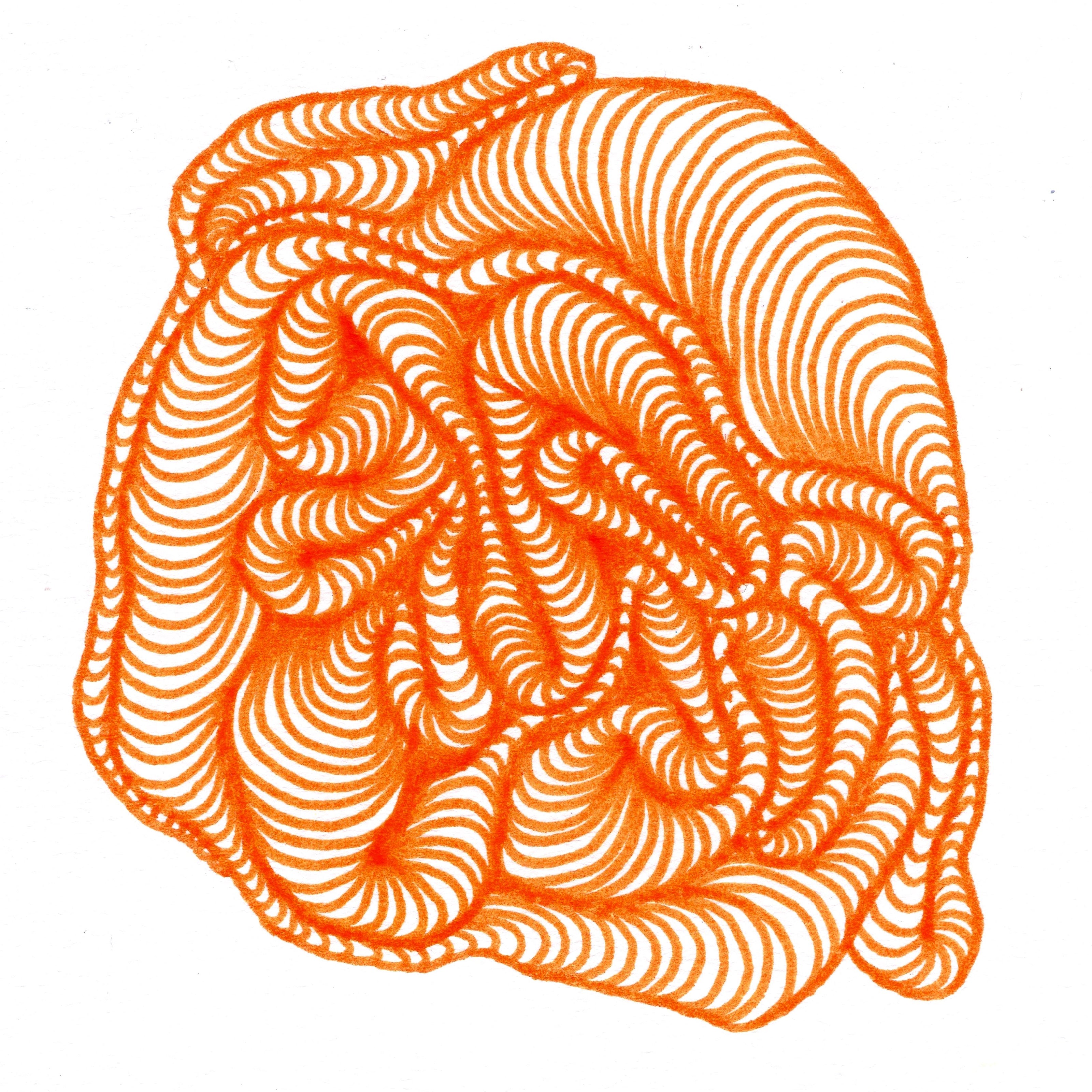 Wobbling layered lines gathered in a ball, as if a loosened clumped-up ball of yarn in orange. 248/365 of the 000/365 collection by charming cavatica