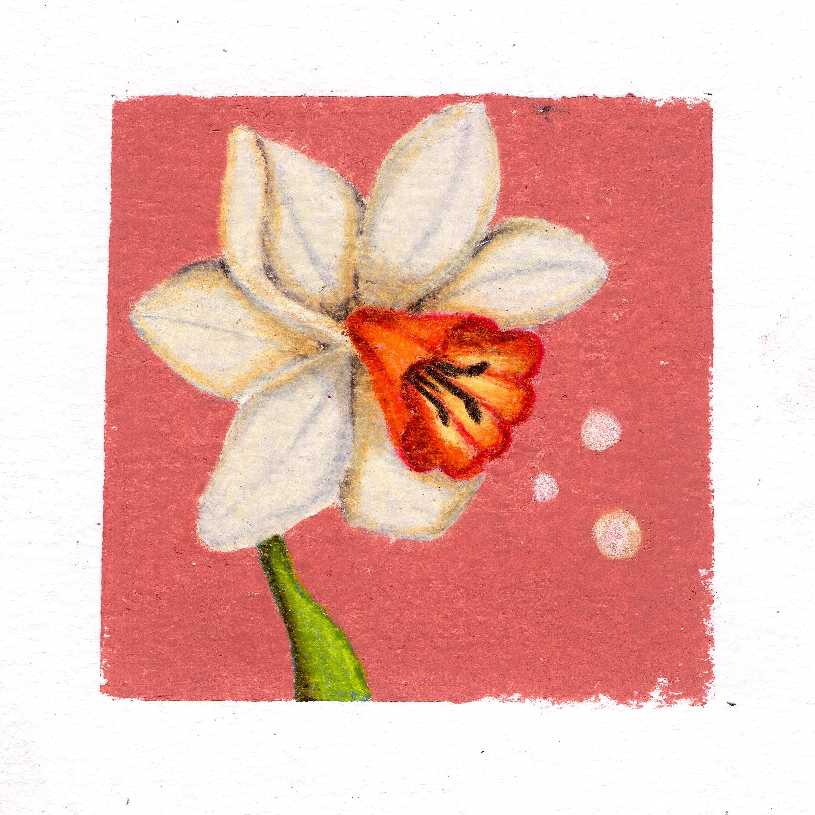 A white lilly on a mauve background. 264/365 of the 000/365 collection by charming cavatica
