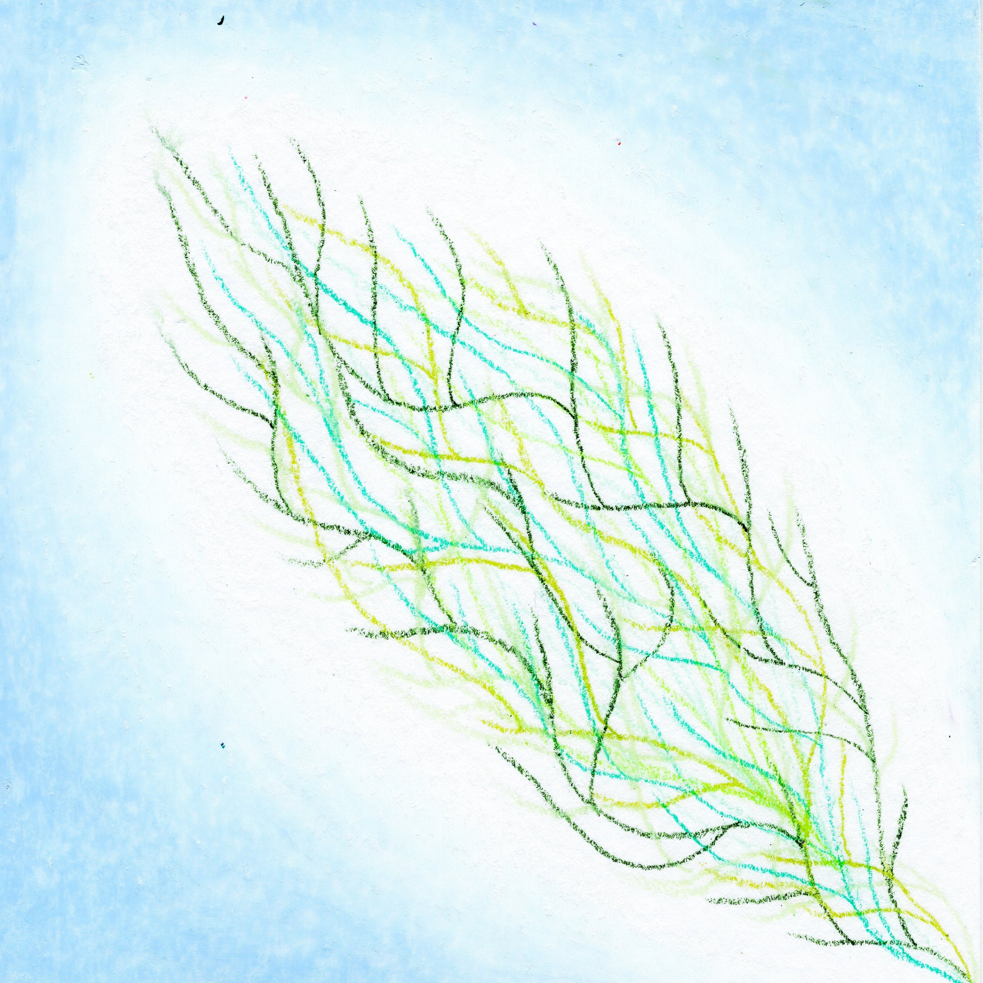 An abstract style piece of seaweed on a blue background. 306/365 of the 000/365 collection by charming cavatica