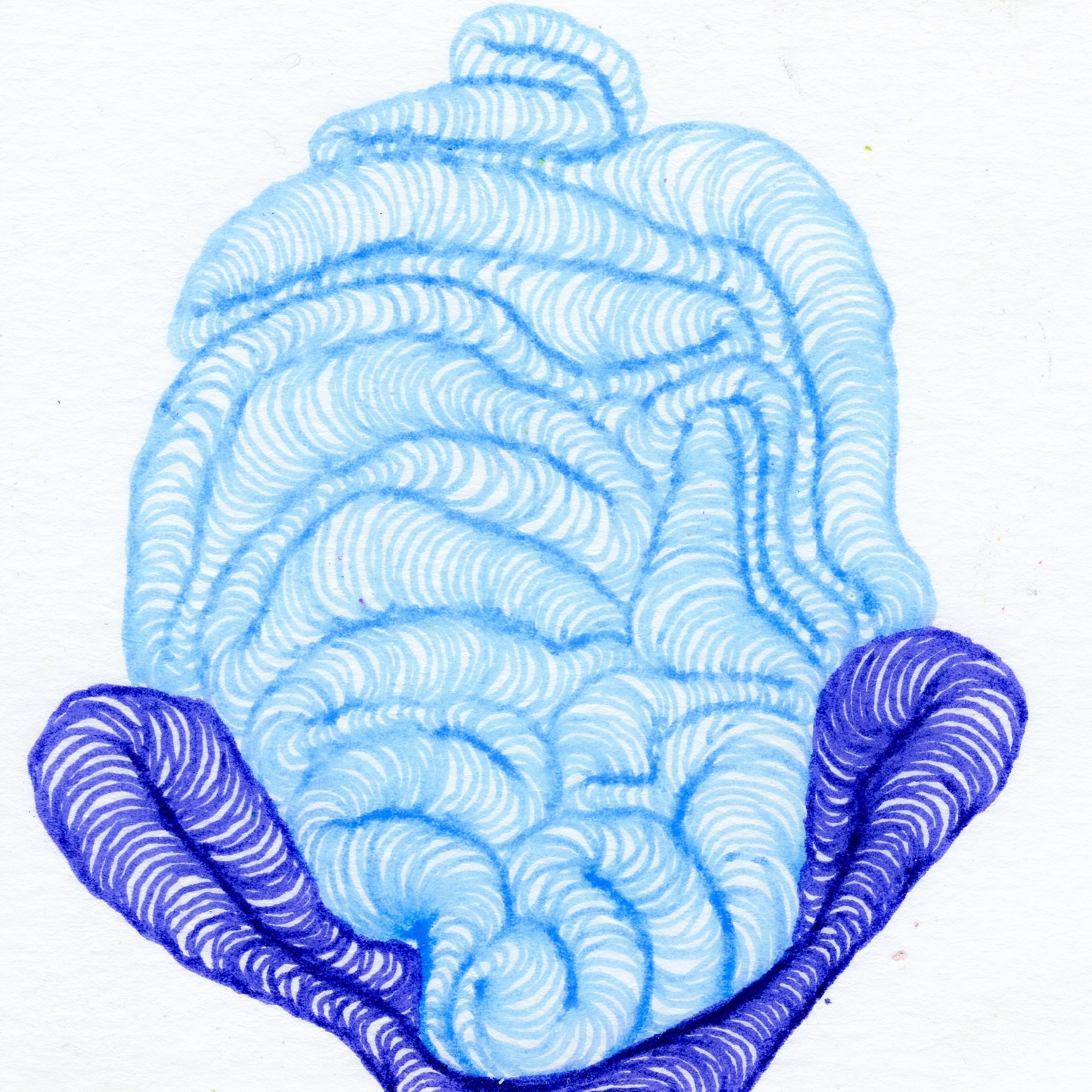 Interwoven layers of light blue wiggling lines sitting within a small cup-like layer of interwoven lines. 309/365 of the 000/365 collection by charming cavatica