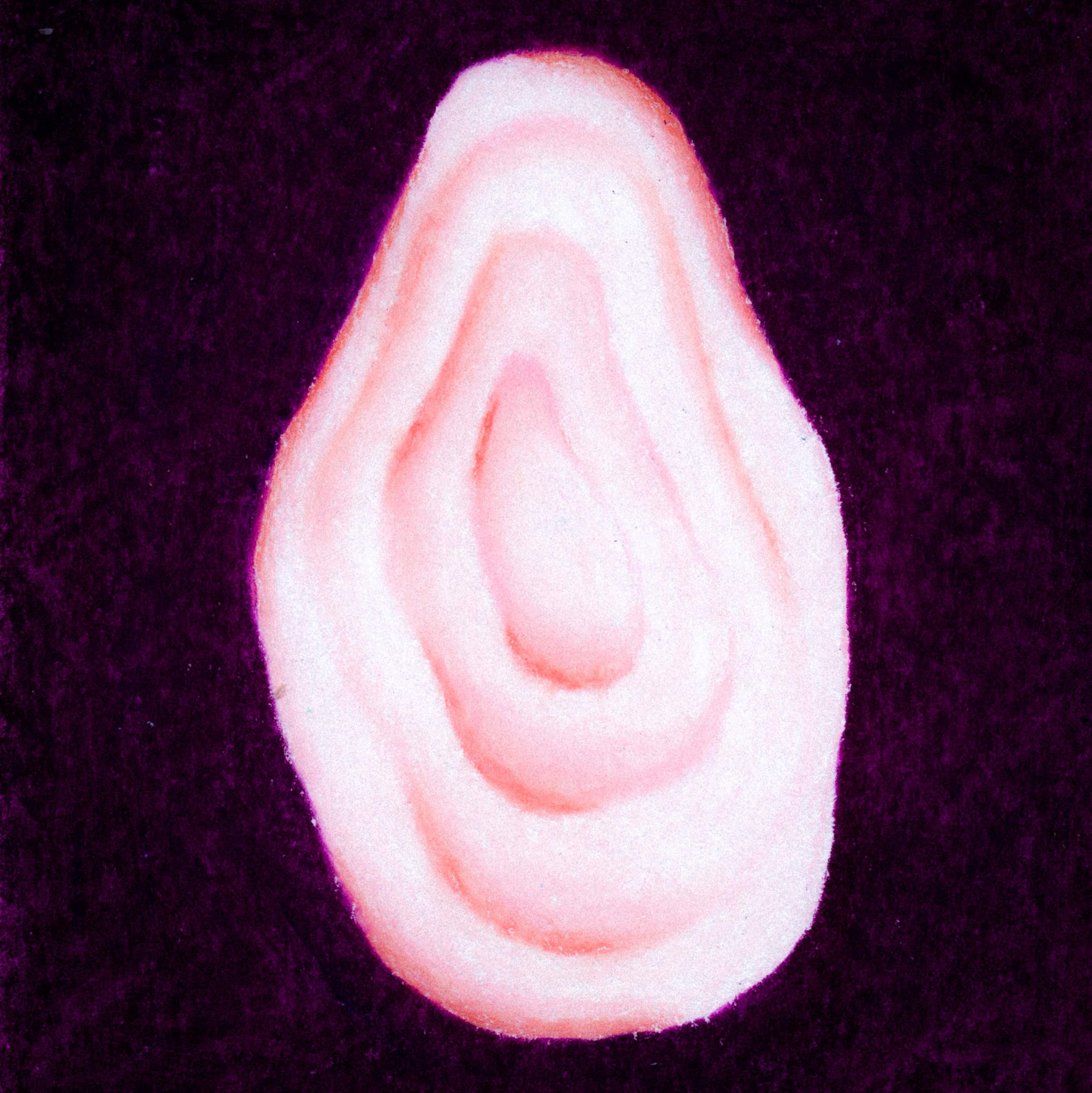 A light pink oval with 4 layered sections from large to small. A deep nearly-black purple background. 332/365 of the 000/365 collection by charming cavatica