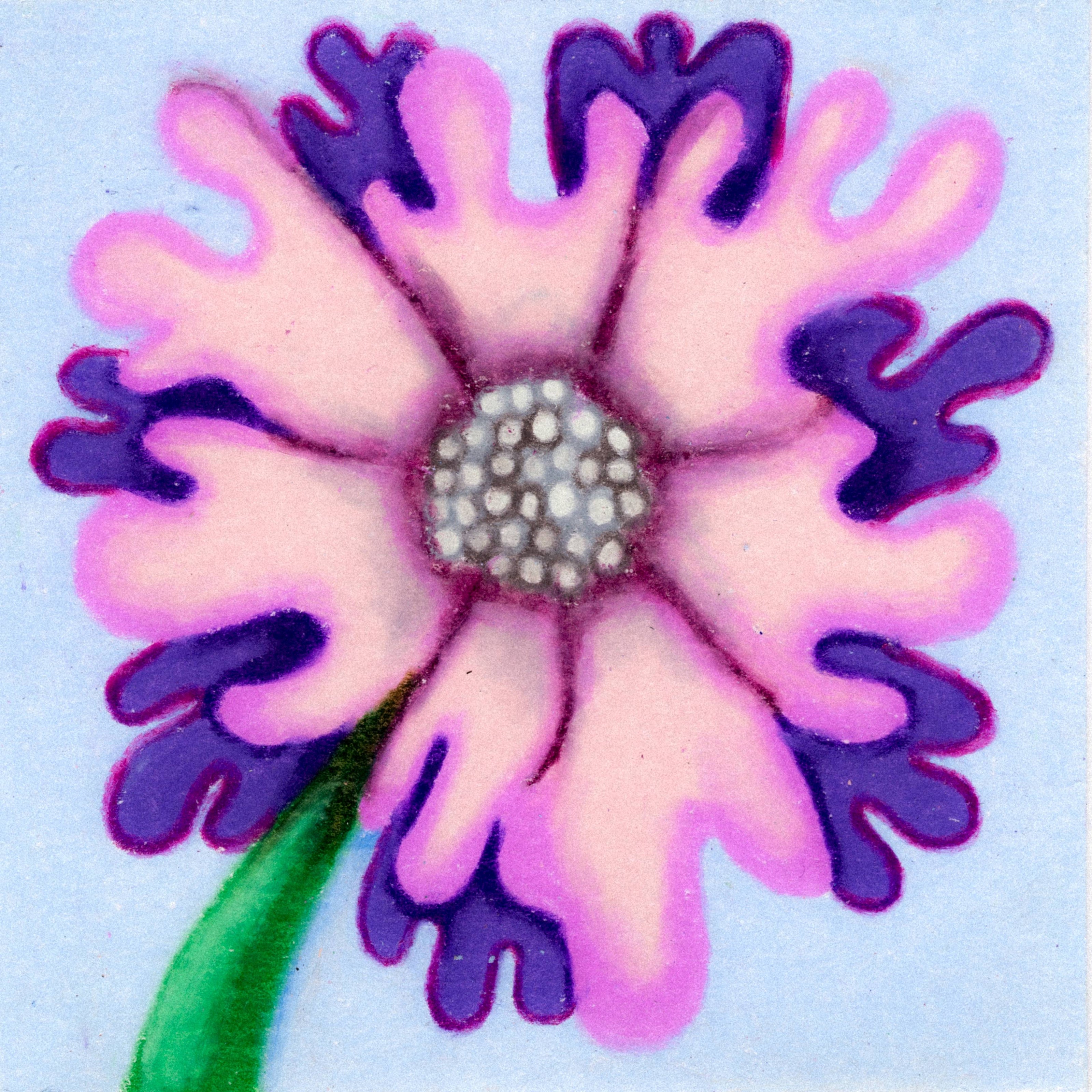 A close-up of a purple flower with lavender petals, a green stem, and a blue background. 348/365 of the 000/365 collection by charming cavatica