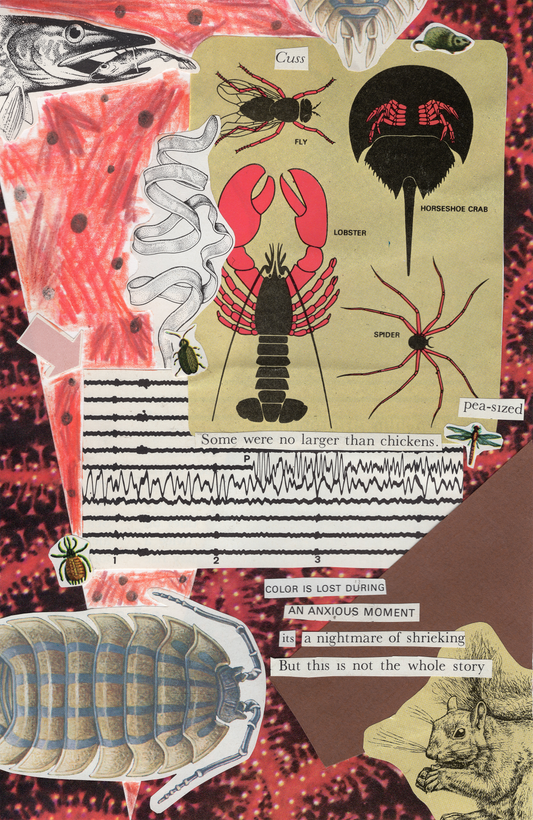 Cuss Collage (Print)