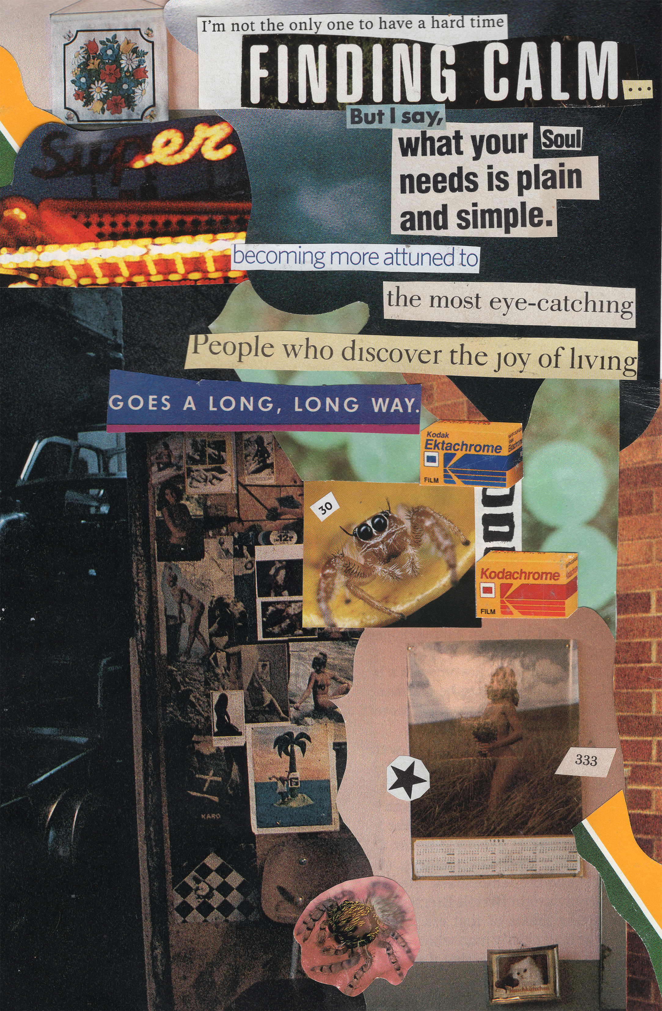 Collage with text and various images on a brick wall background