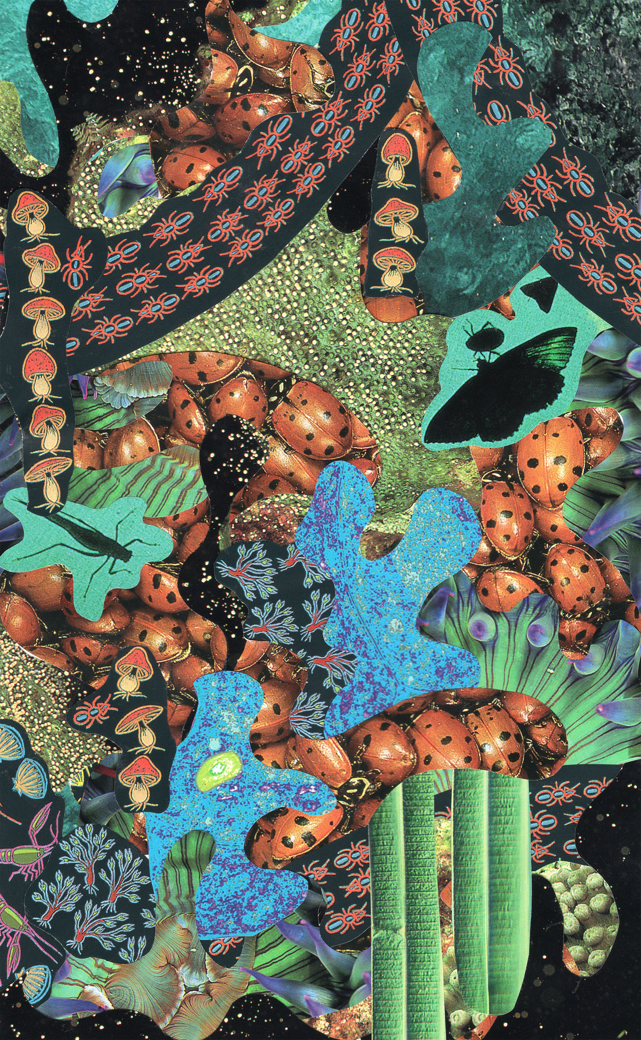 Colorful abstract artwork with various patterns and shapes on a dark background
