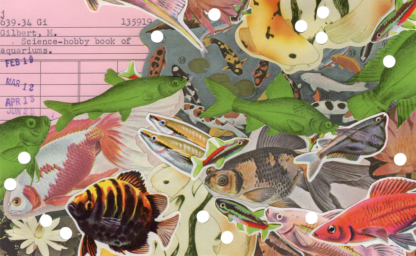 Hobby Book of Aquariums Collage (Print)