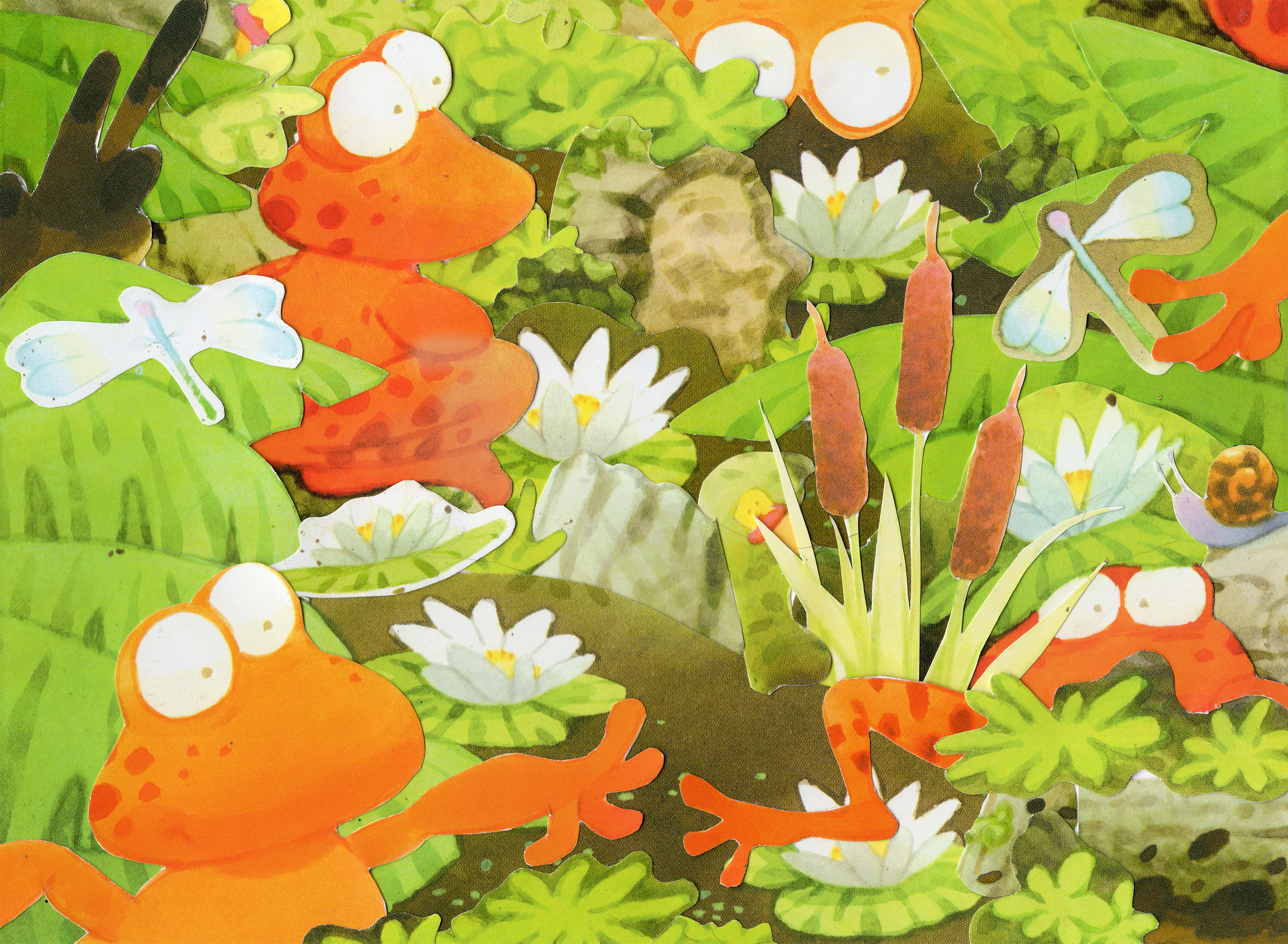 Illustration of orange frogs and green plants in a pond setting