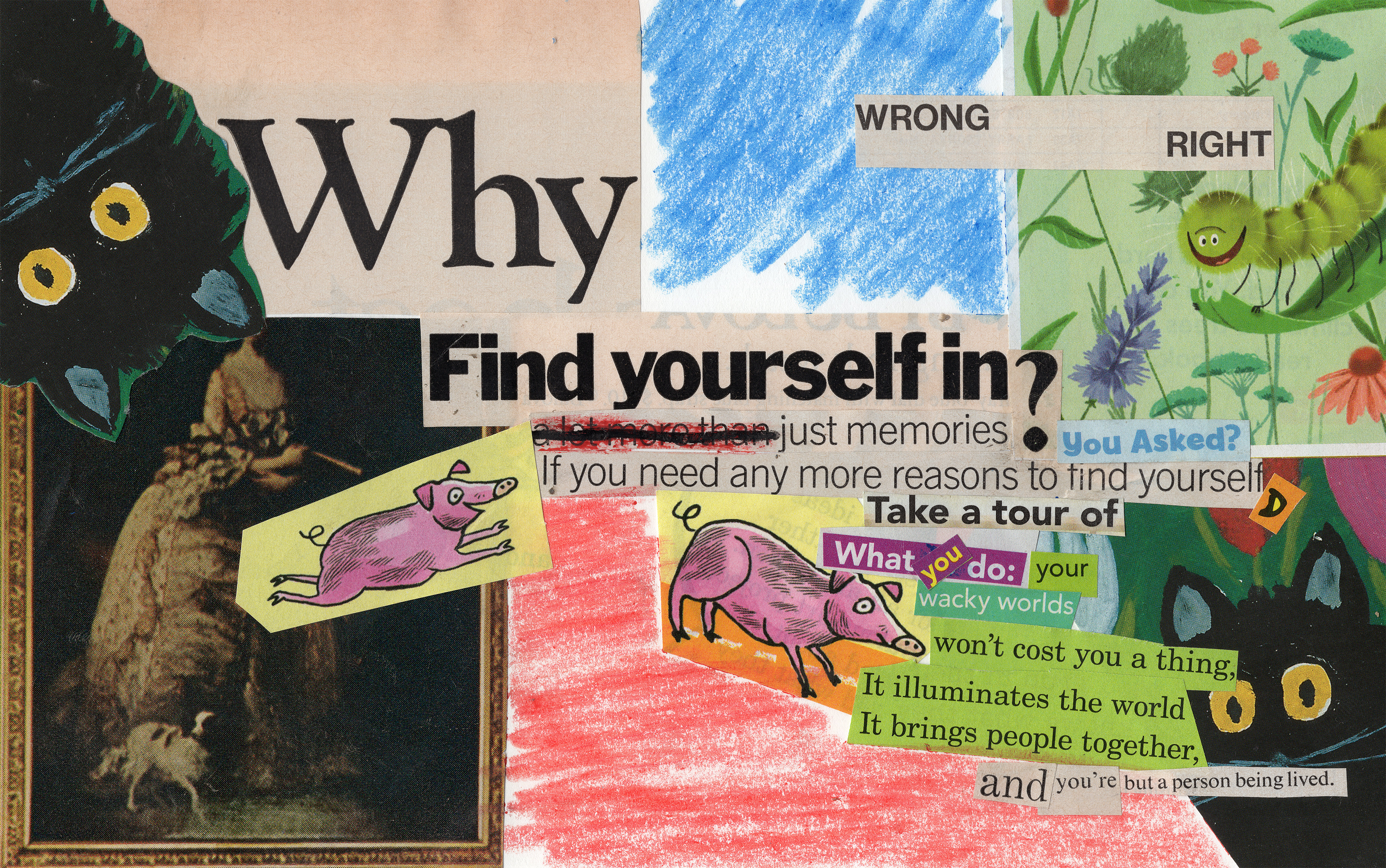 Collage with text and illustrations including a cat, flowers, and a pig.