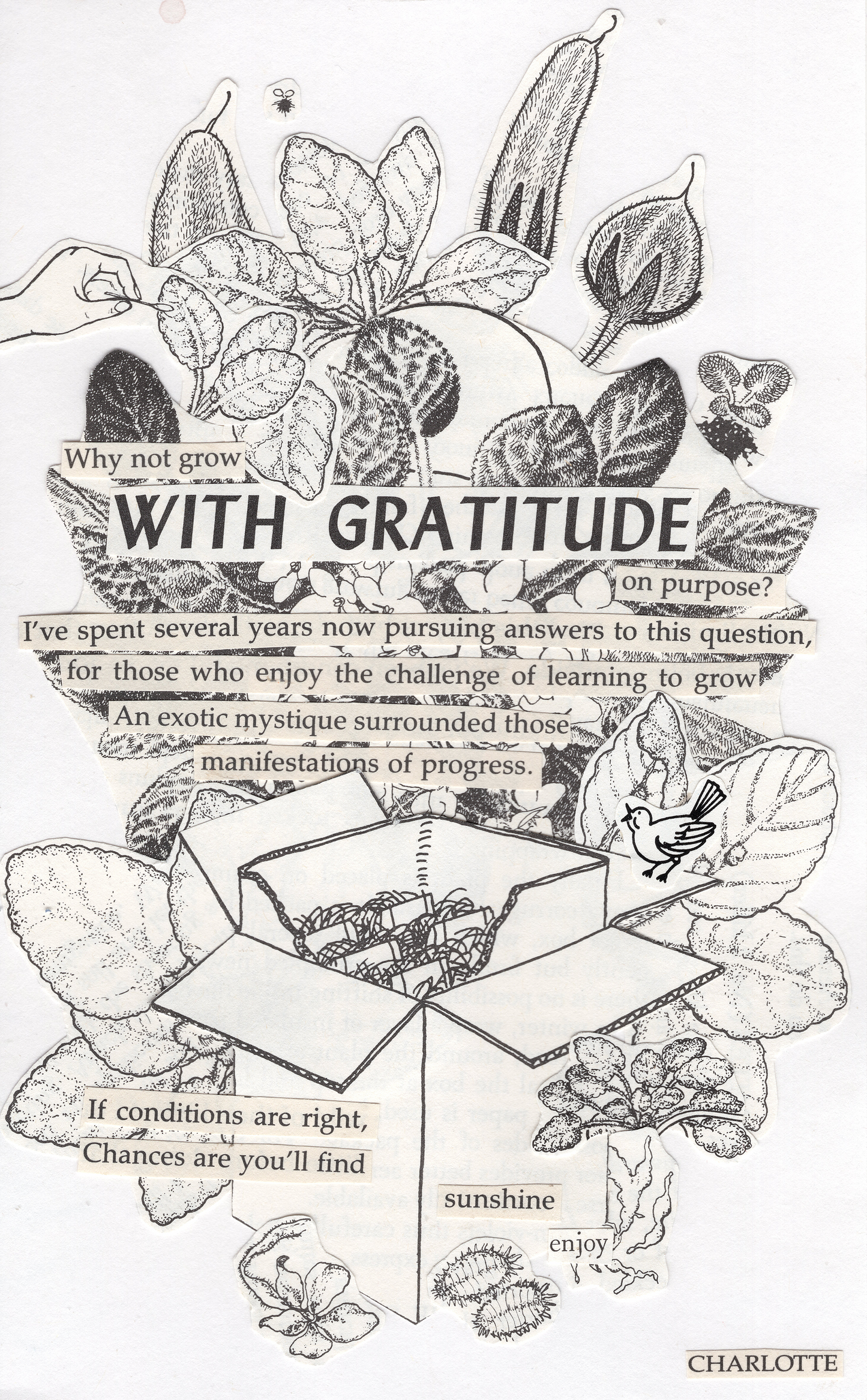 With Gratitude Collage (Print)